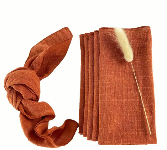 Terracotta Cotton Napkin Set